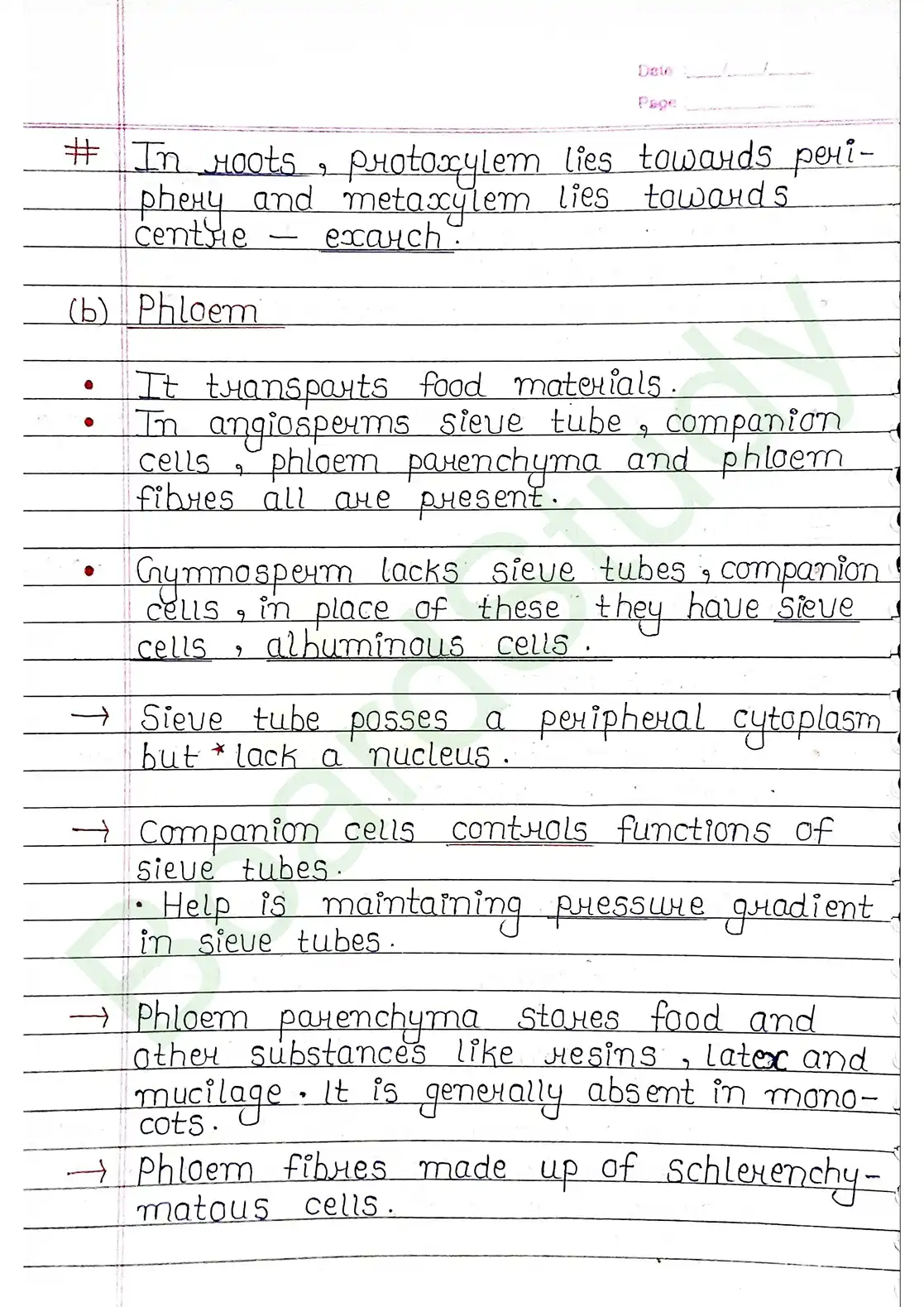 6. Anatomy of flowering plants_page-0006