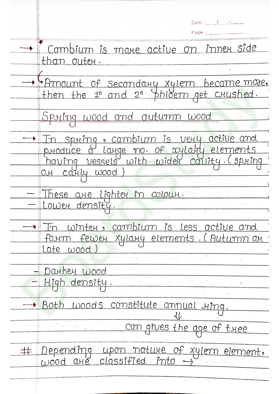 6. Anatomy of flowering plants_page-0018