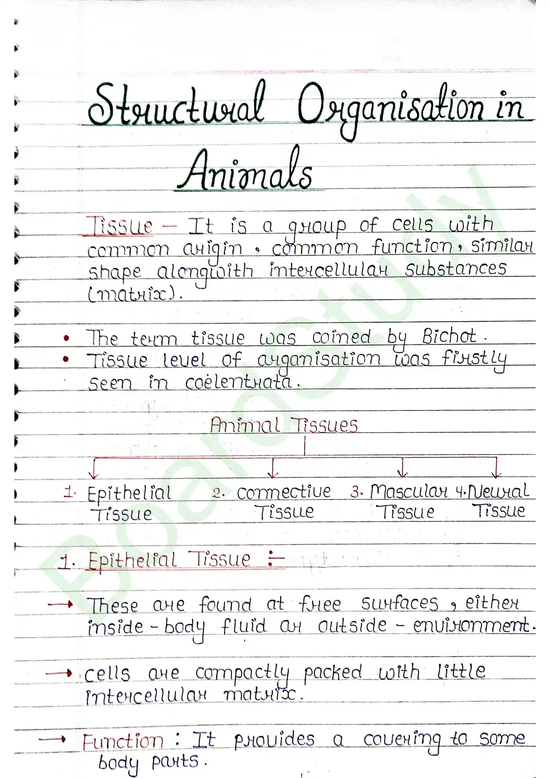 7. Structural organisation in animal_page-0001