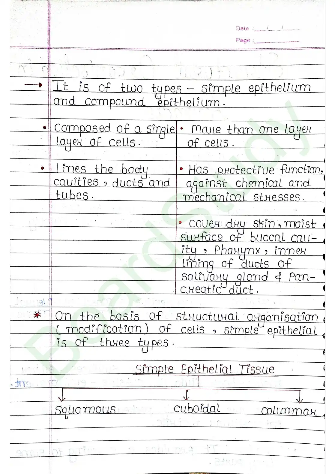 7. Structural organisation in animal_page-0002