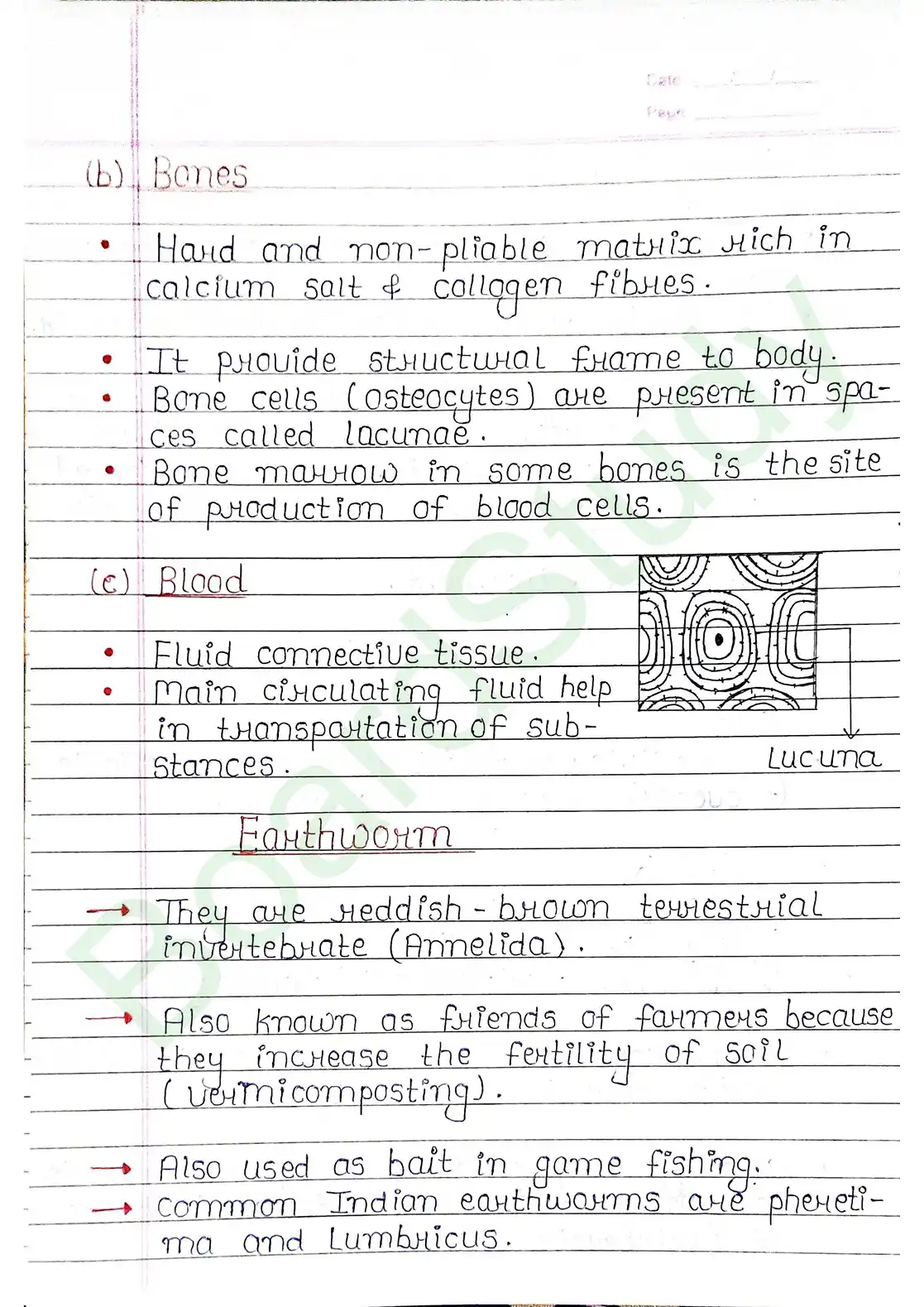7. Structural organisation in animal_page-0008