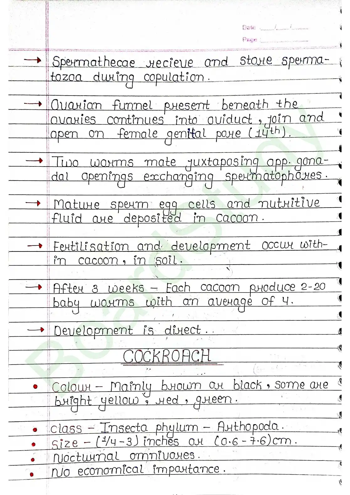 7. Structural organisation in animal_page-0014