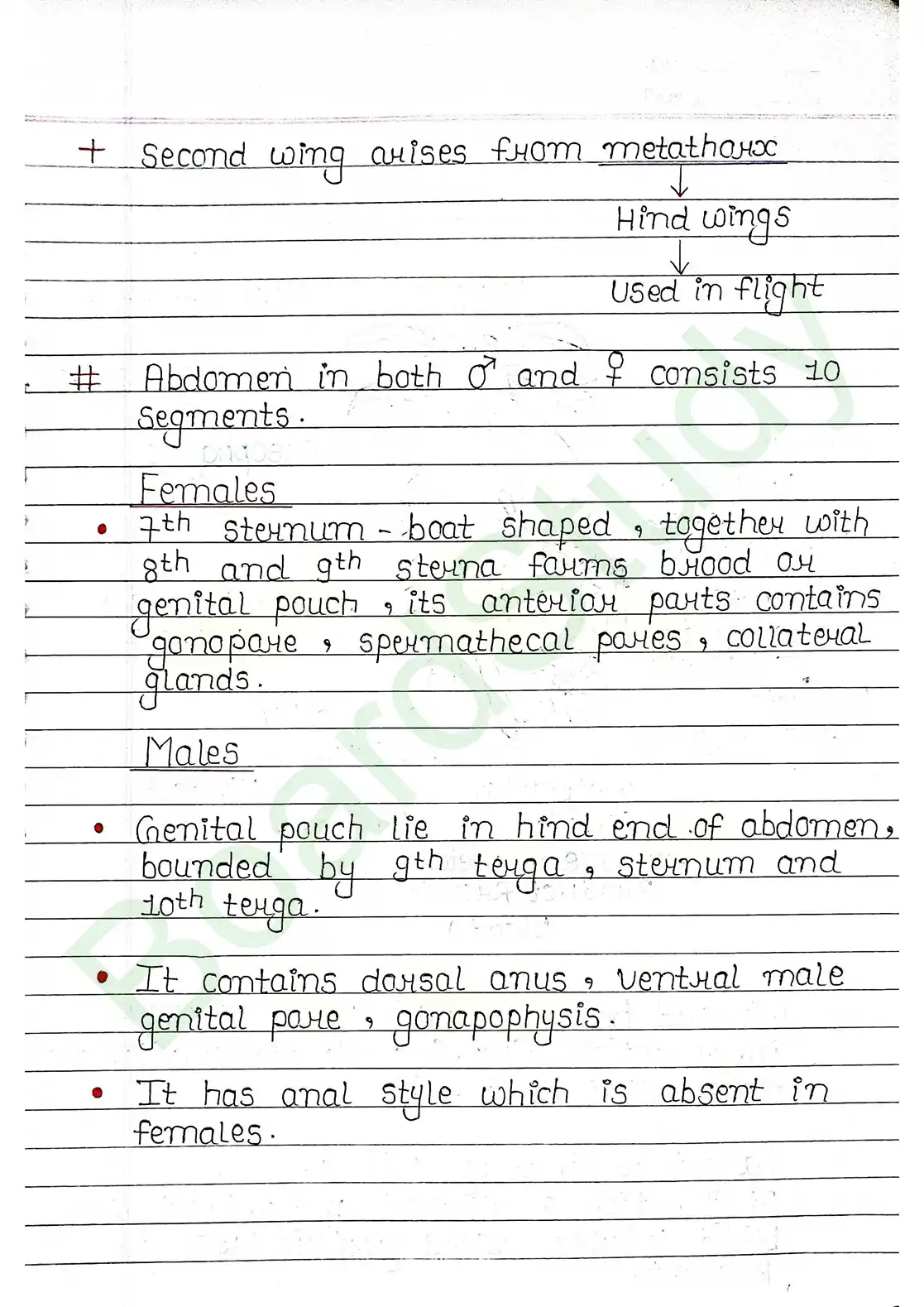 7. Structural organisation in animal_page-0017