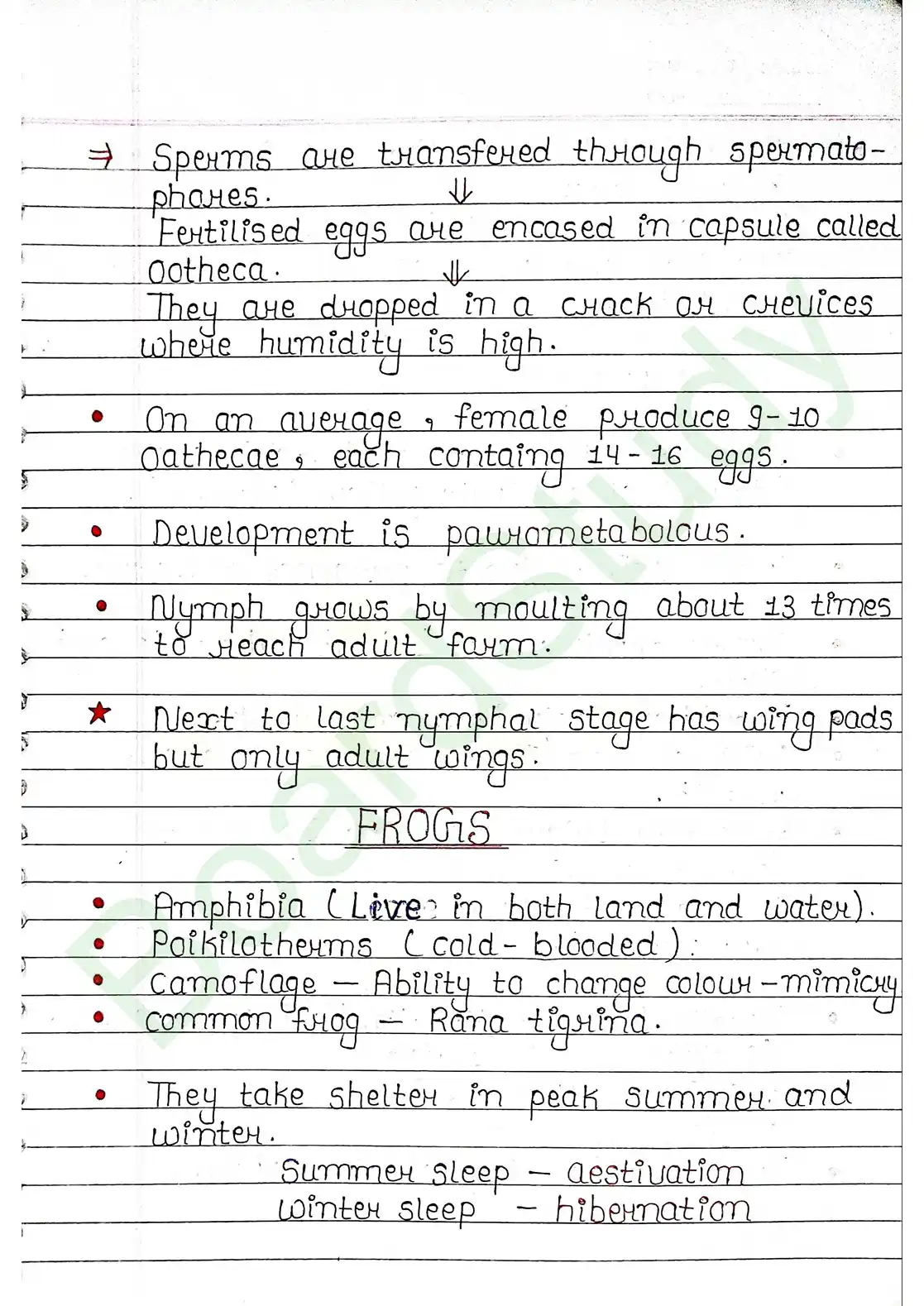 7. Structural organisation in animal_page-0023