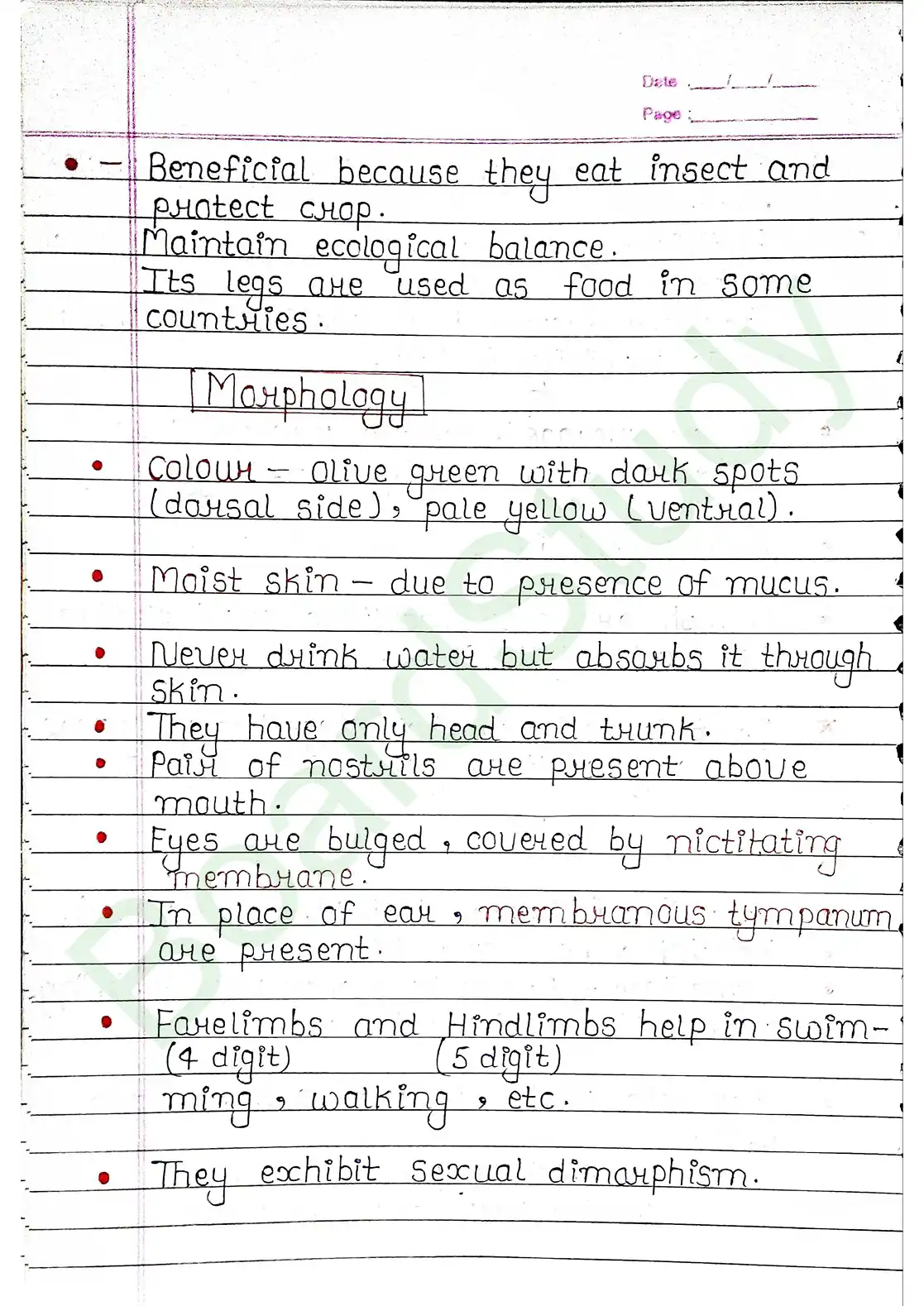 7. Structural organisation in animal_page-0024