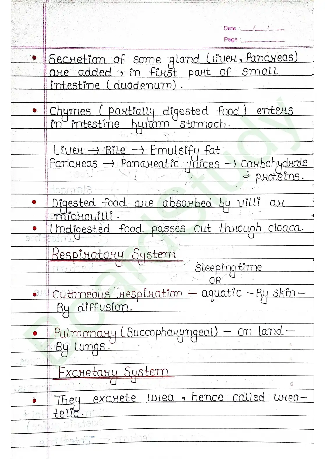 7. Structural organisation in animal_page-0026