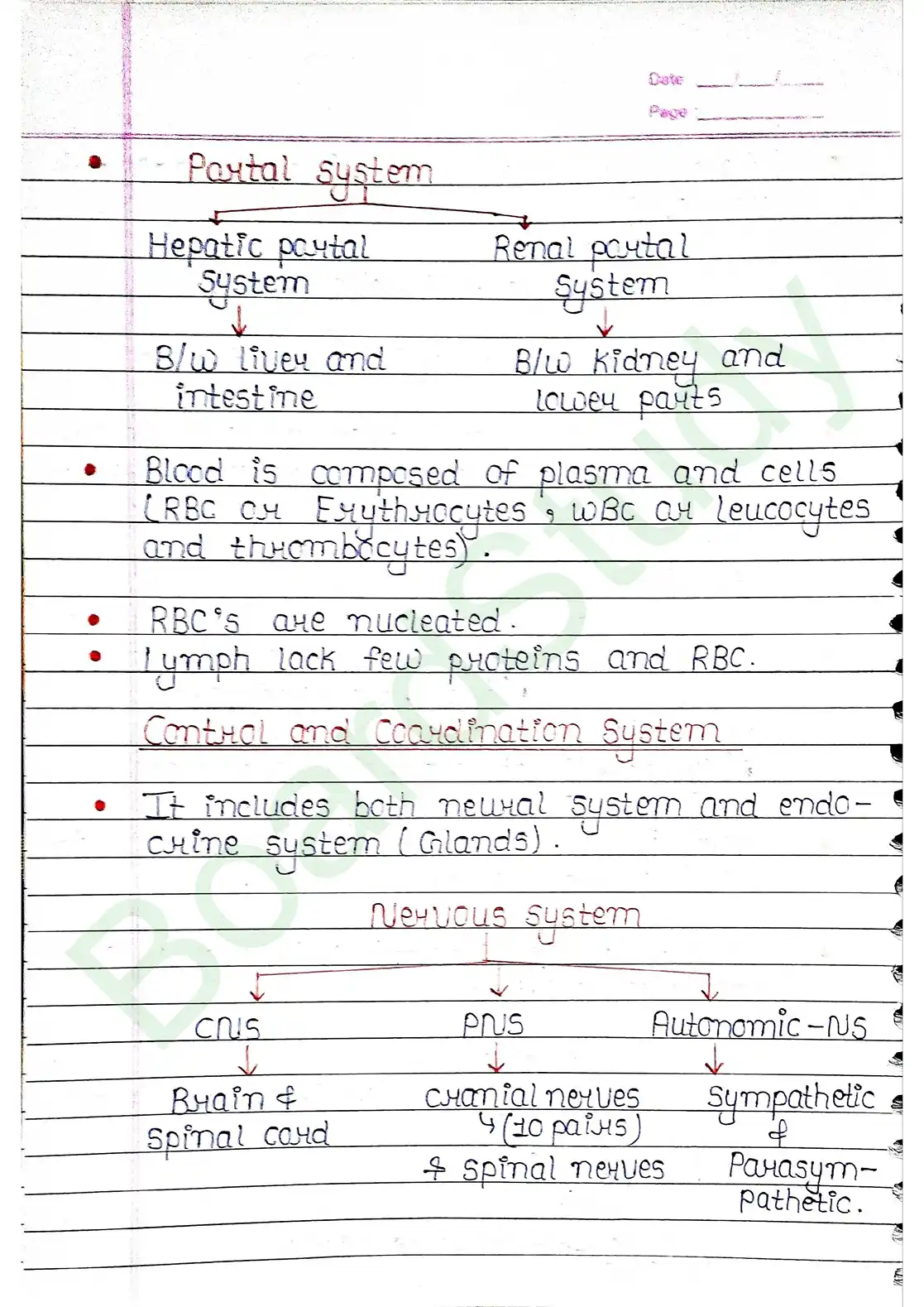 7. Structural organisation in animal_page-0028