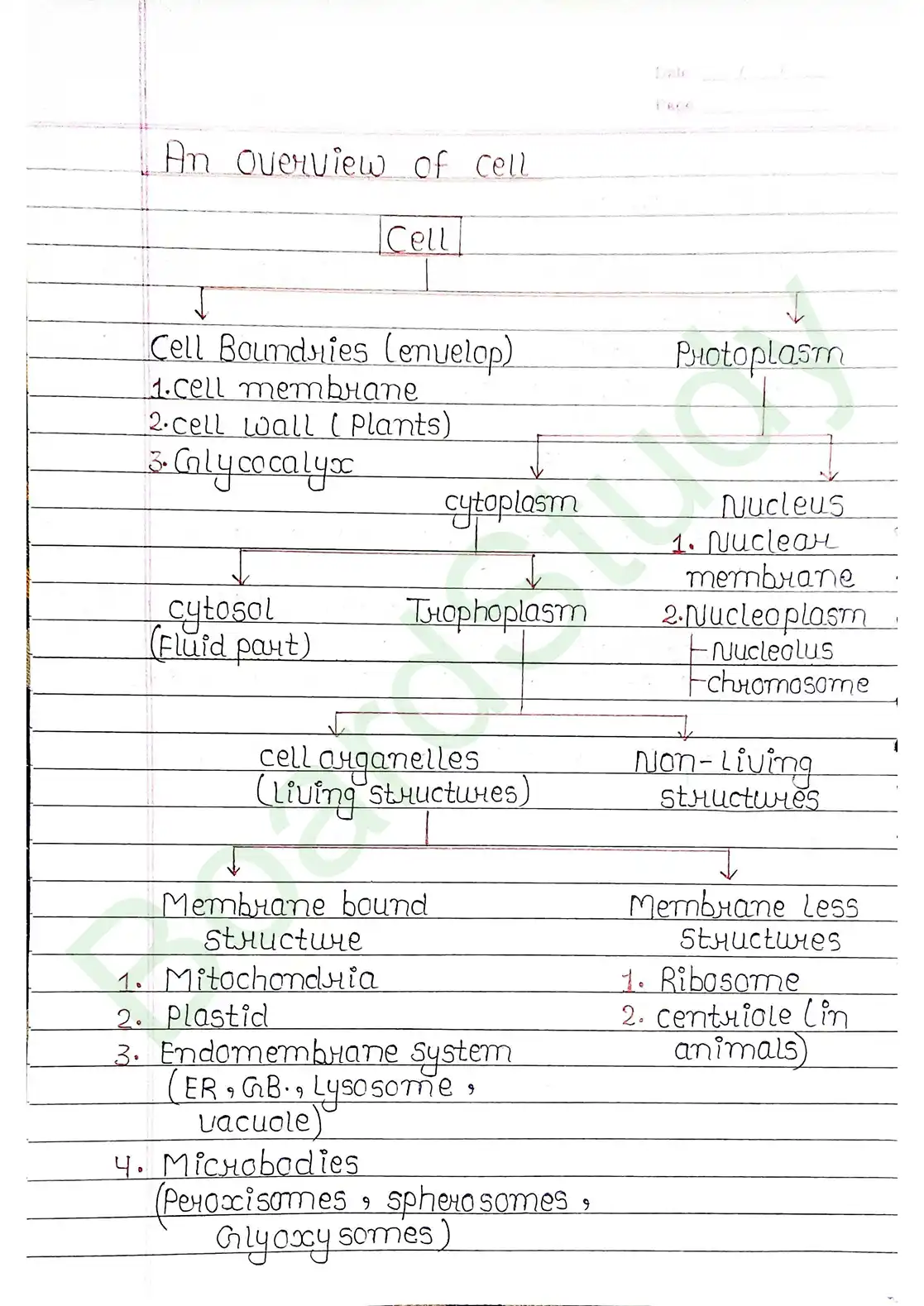 8. Cell - Unit of life_page-0004