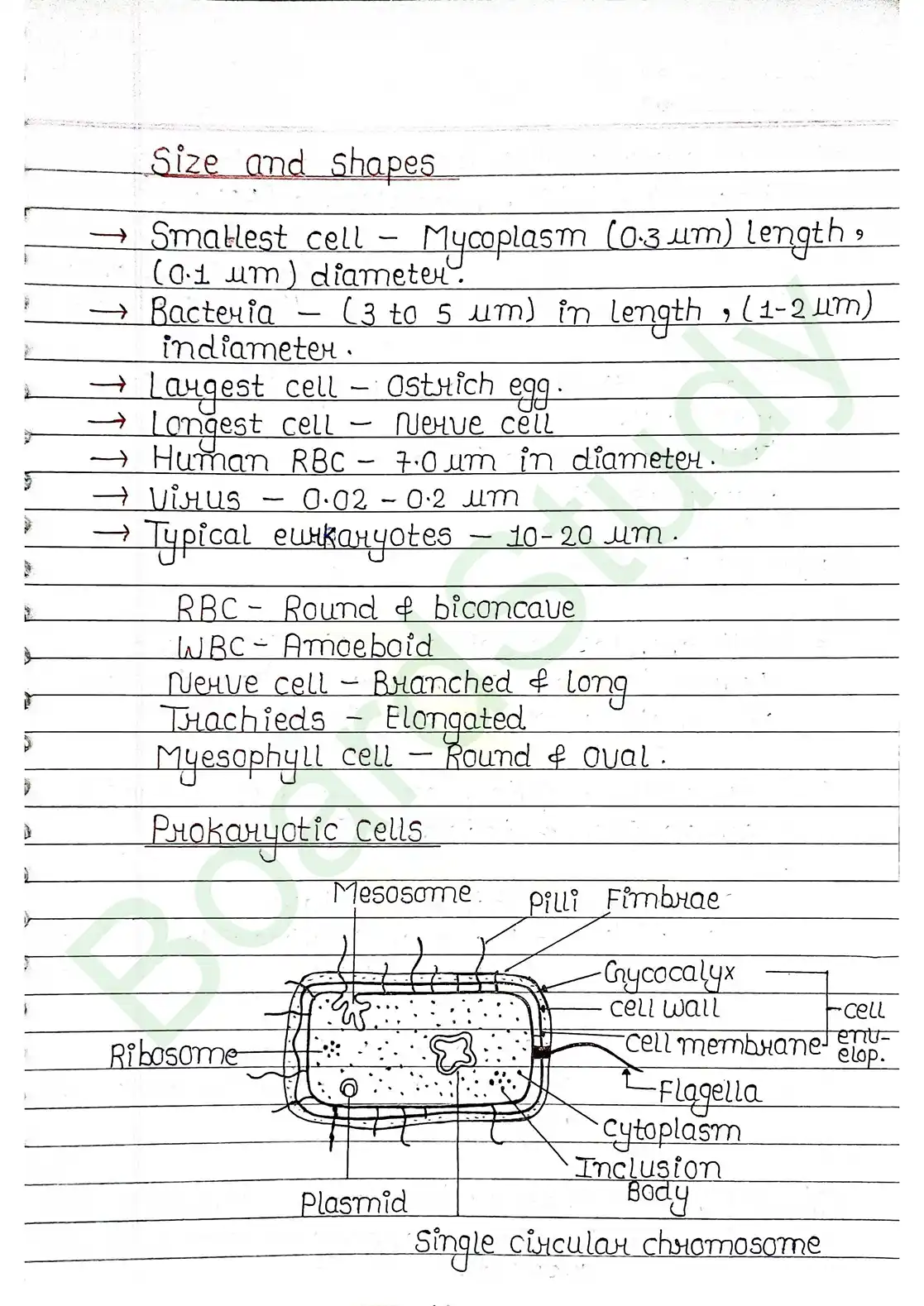 8. Cell - Unit of life_page-0005