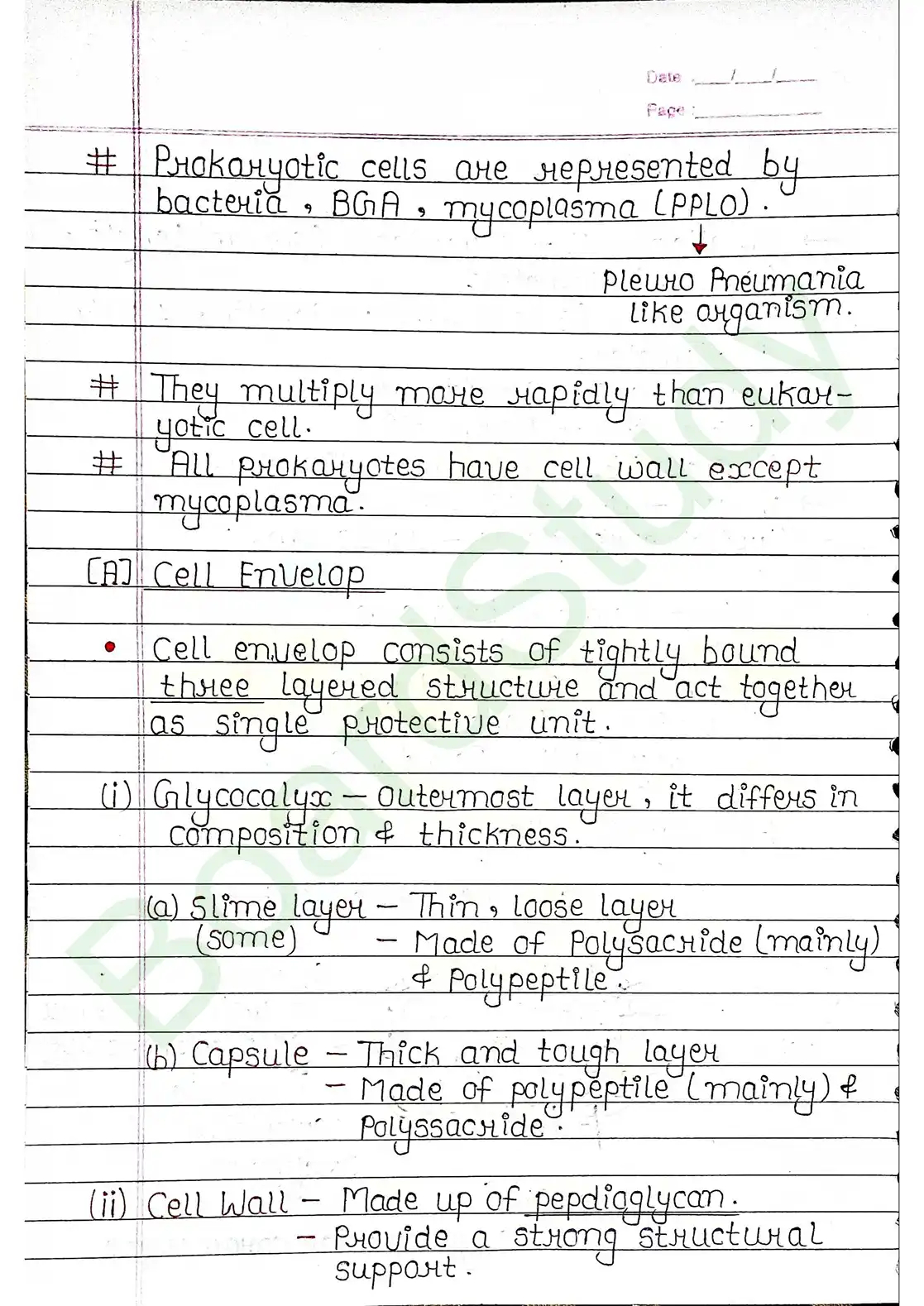 8. Cell - Unit of life_page-0006