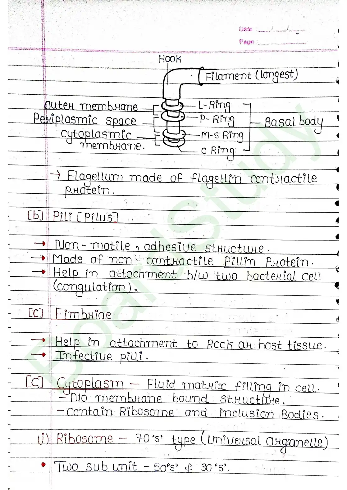 8. Cell - Unit of life_page-0008