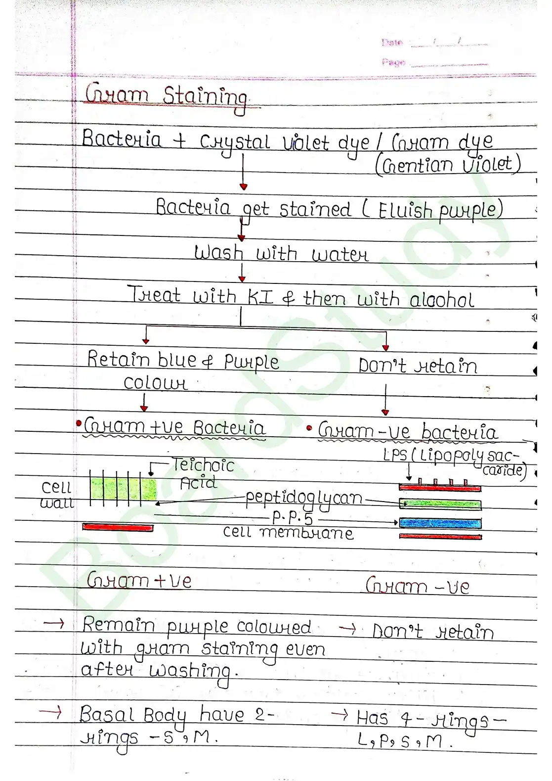 8. Cell - Unit of life_page-0010