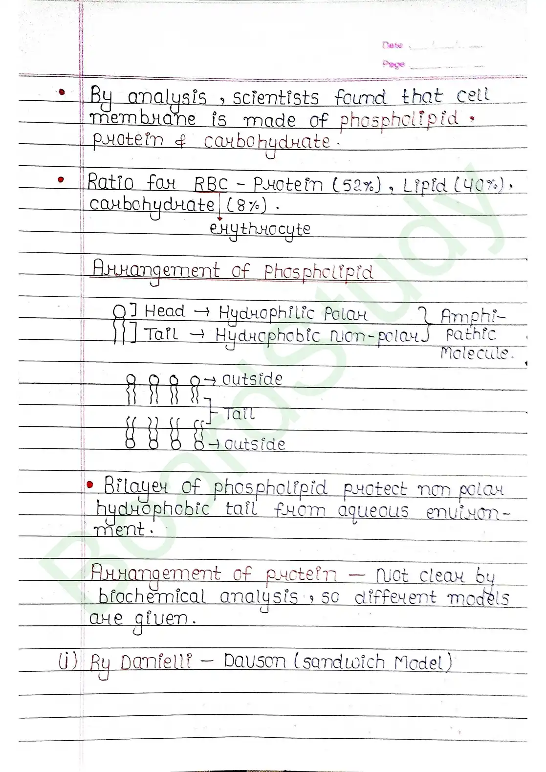 8. Cell - Unit of life_page-0012