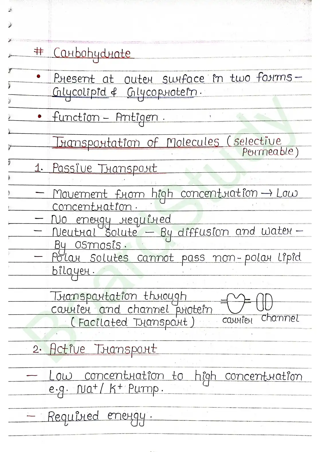 8. Cell - Unit of life_page-0015