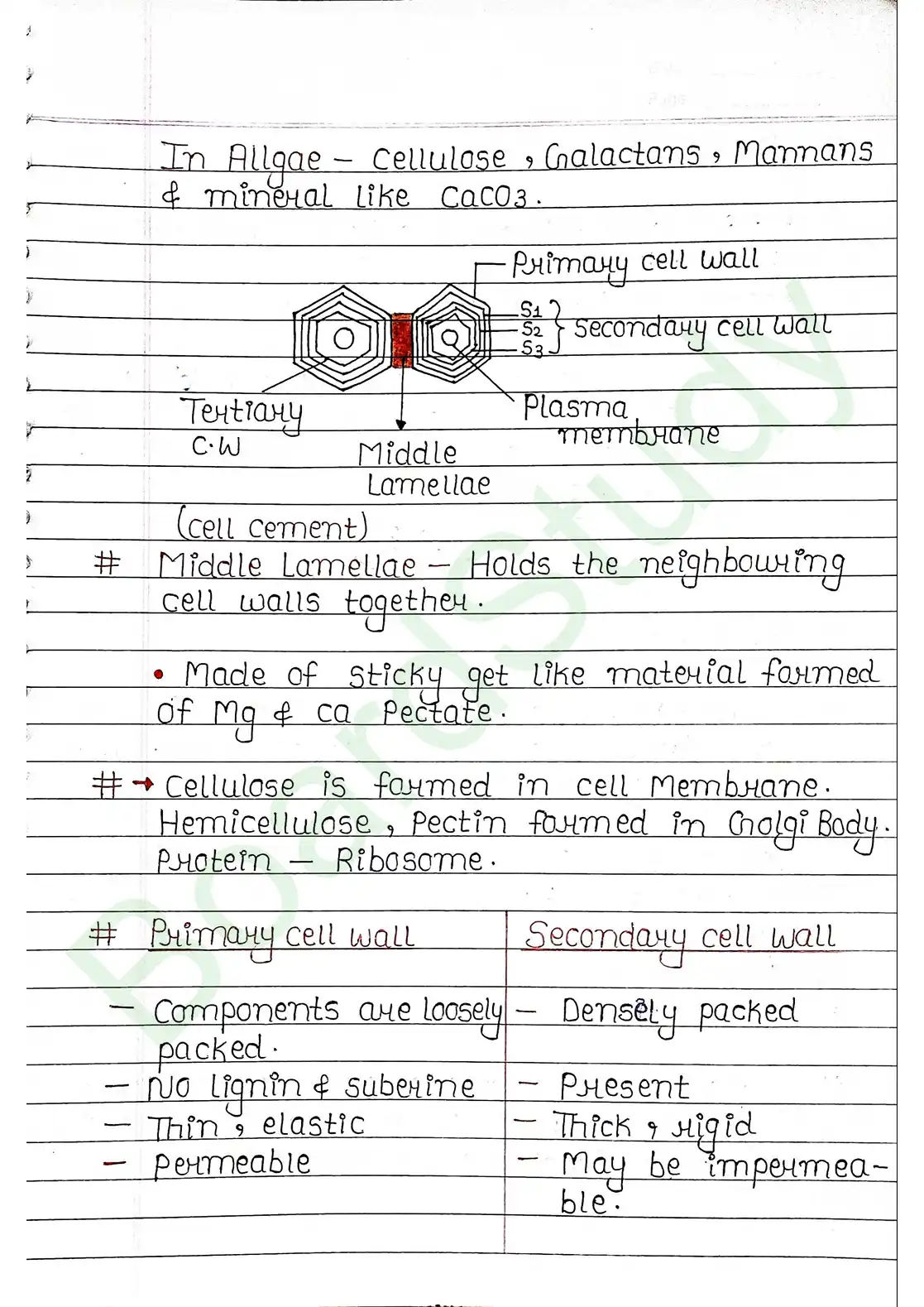 8. Cell - Unit of life_page-0017