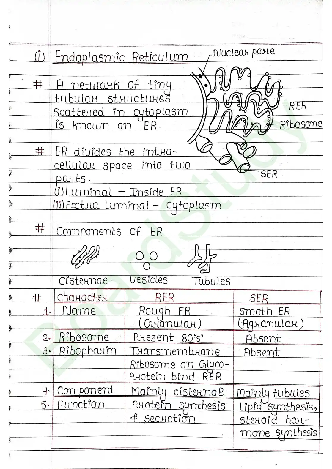 8. Cell - Unit of life_page-0019