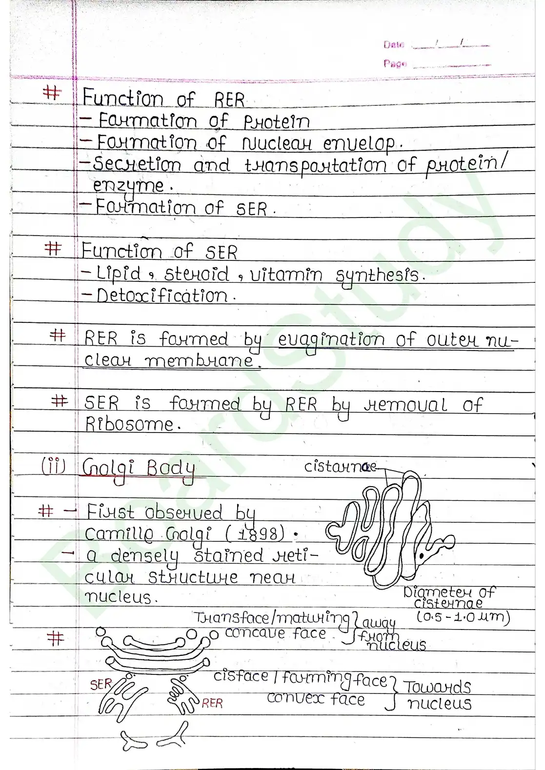 8. Cell - Unit of life_page-0020