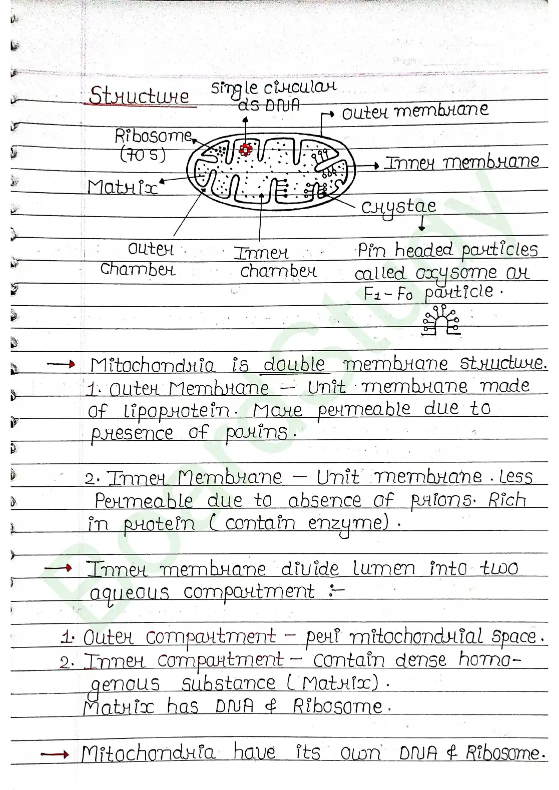 8. Cell - Unit of life_page-0025