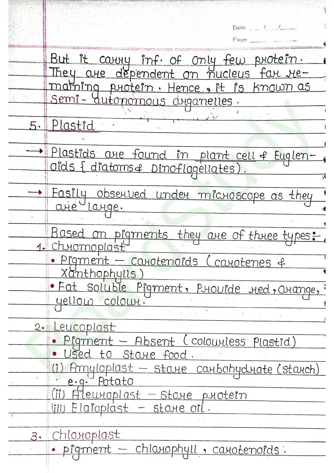 8. Cell - Unit of life_page-0026