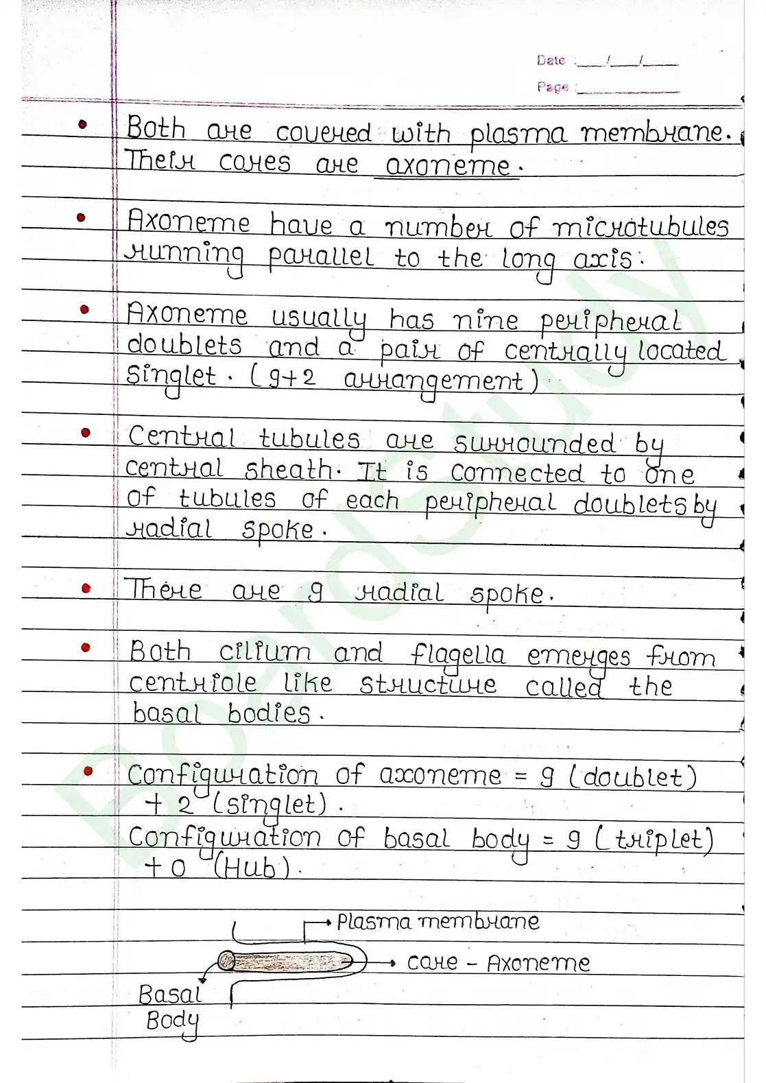 8. Cell - Unit of life_page-0030