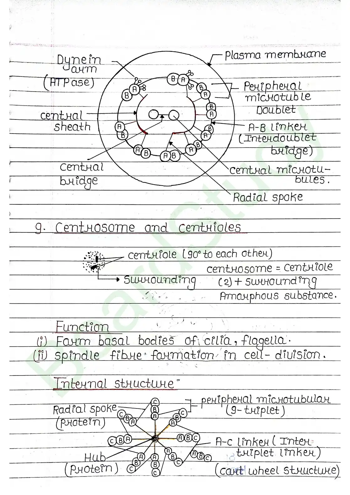 8. Cell - Unit of life_page-0031