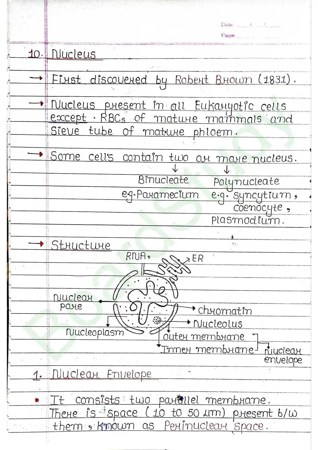 8. Cell - Unit of life_page-0032