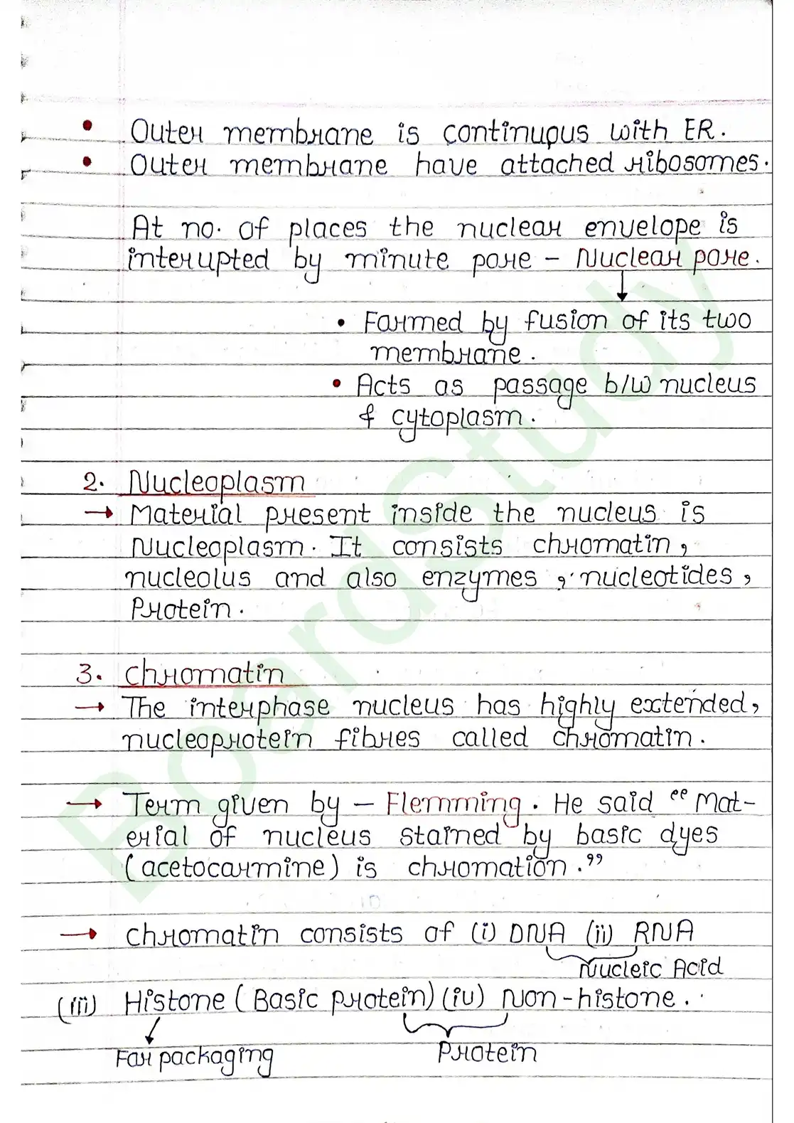 8. Cell - Unit of life_page-0033