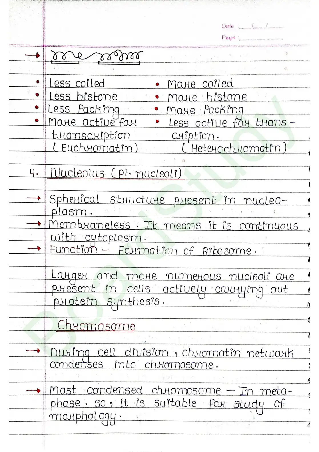 8. Cell - Unit of life_page-0034