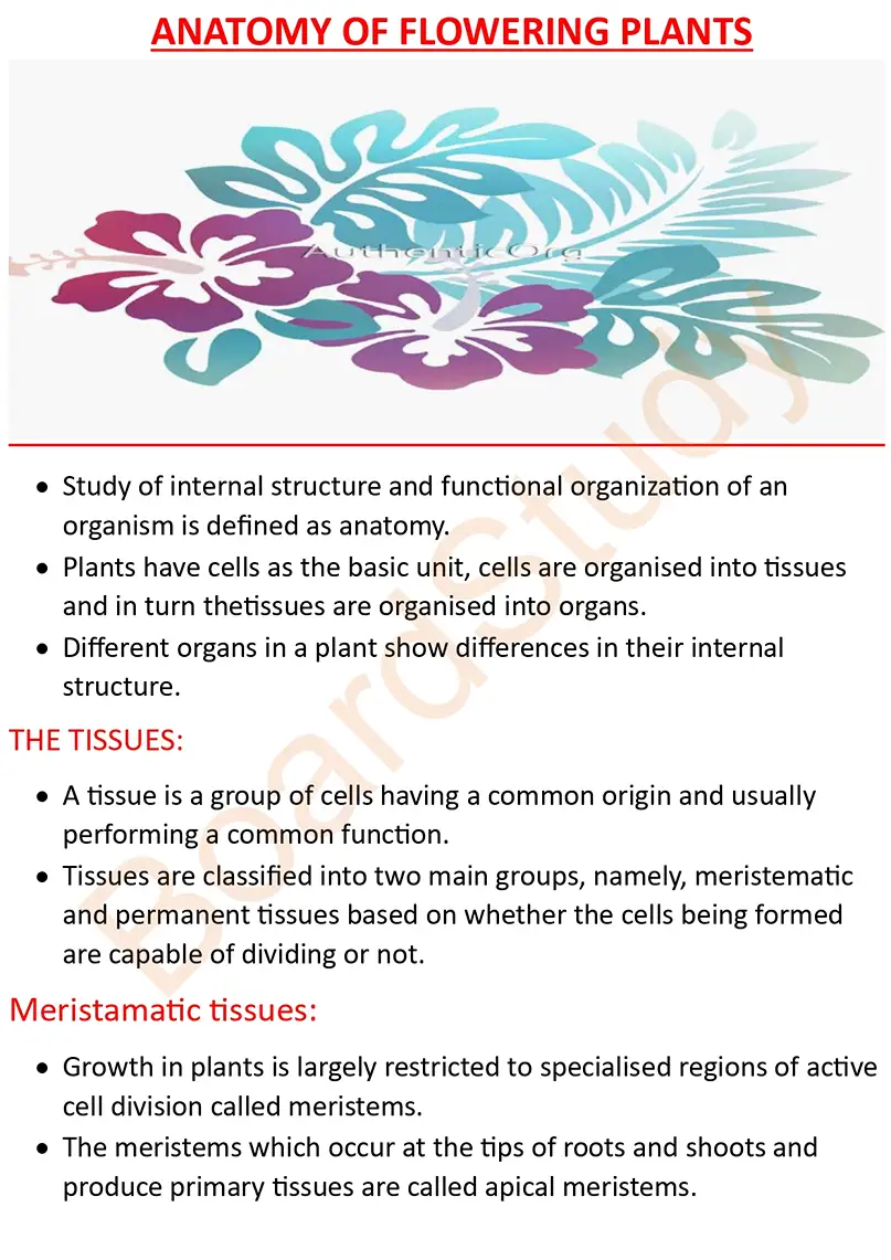Anatomy of Flowering Plants note_page-0001