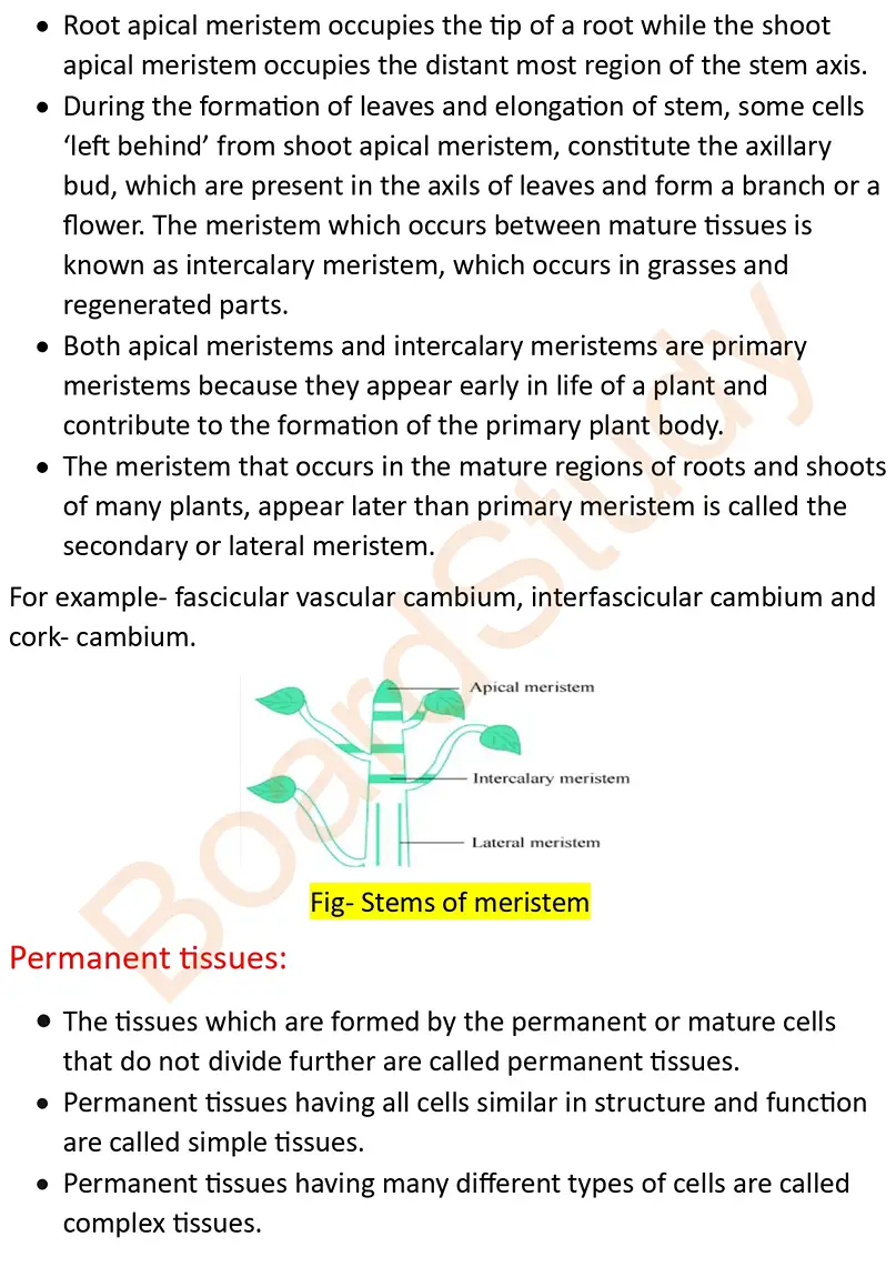Anatomy of Flowering Plants note_page-0002