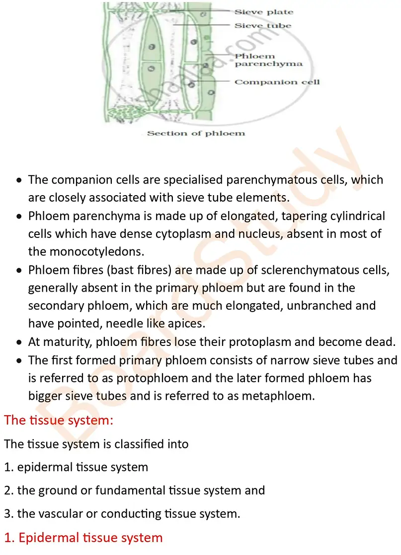 Anatomy of Flowering Plants note_page-0007