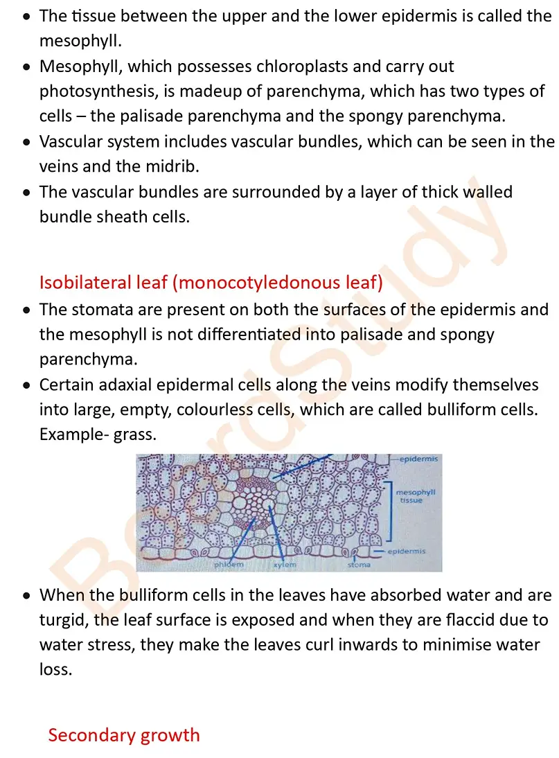 Anatomy of Flowering Plants note_page-0014