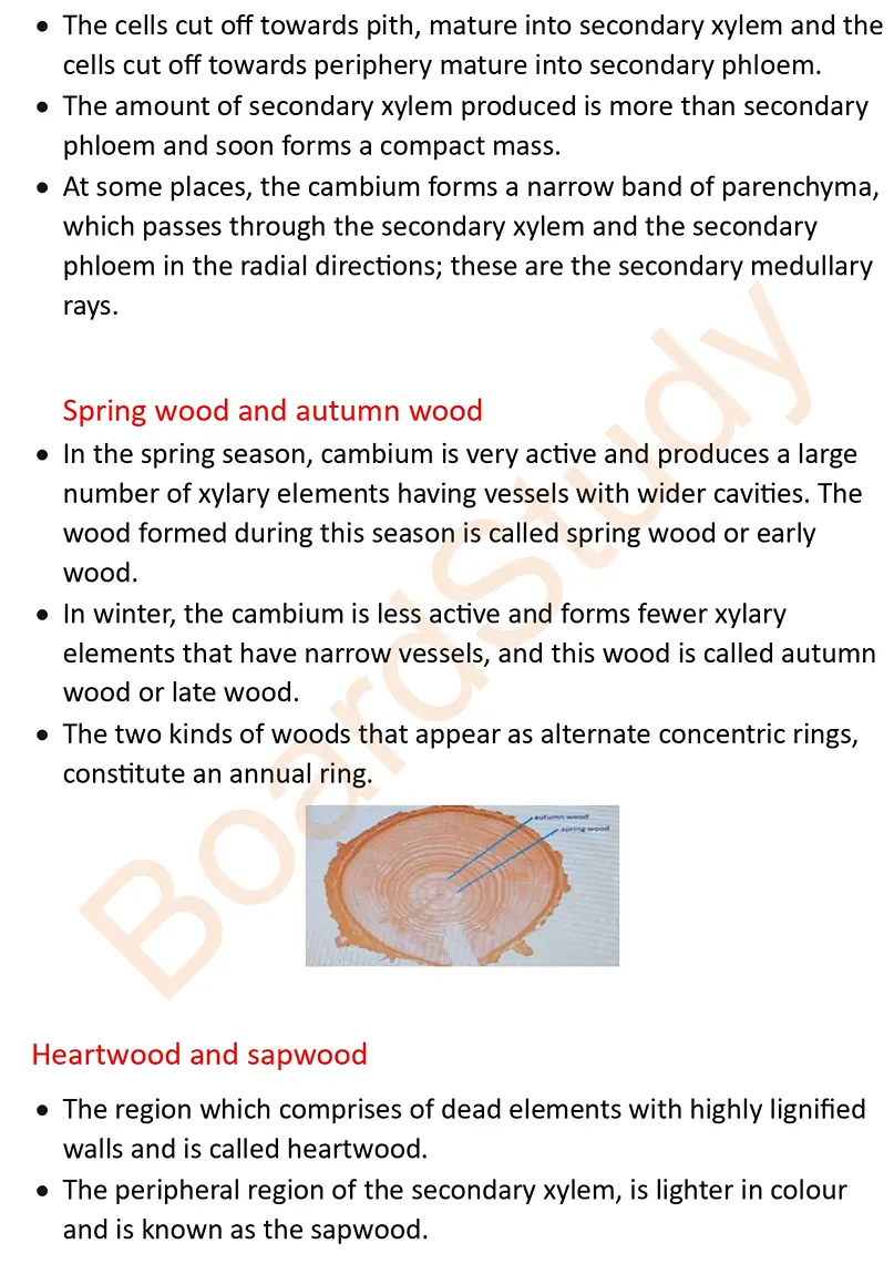 Anatomy of Flowering Plants note_page-0016