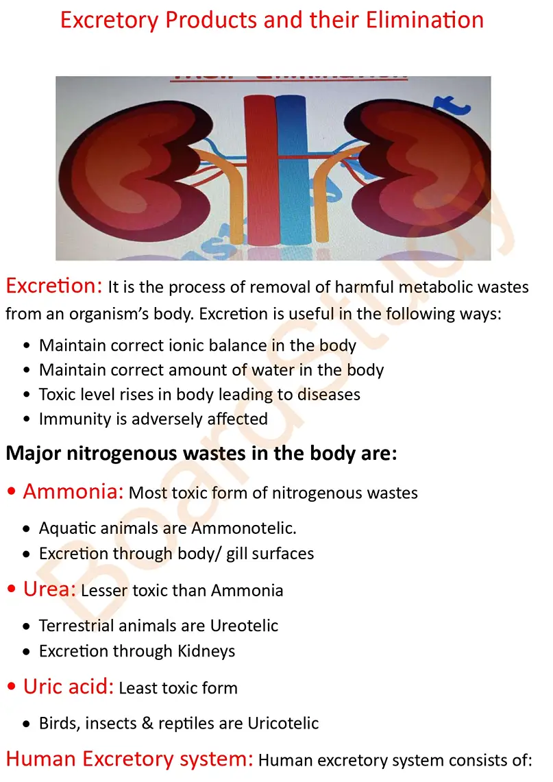 Excretory product and their elimination notes_page-0001