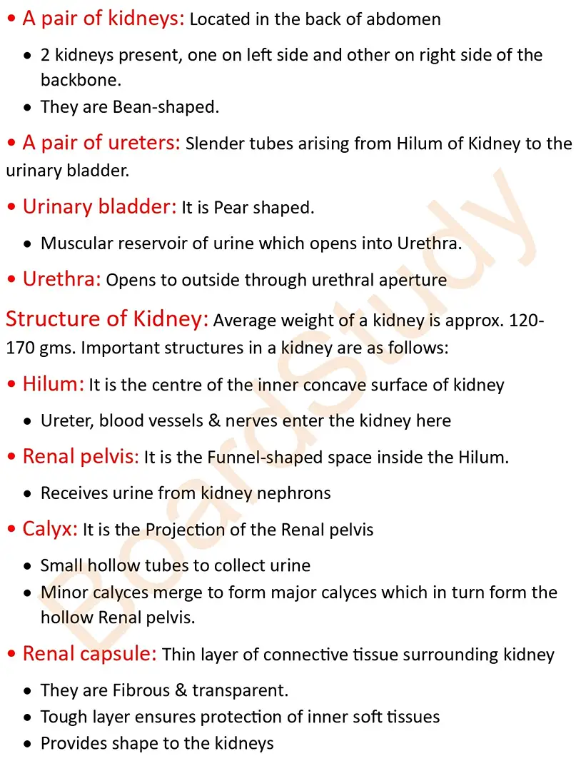 Excretory product and their elimination notes_page-0002
