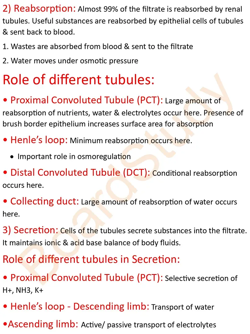 Excretory product and their elimination notes_page-0005