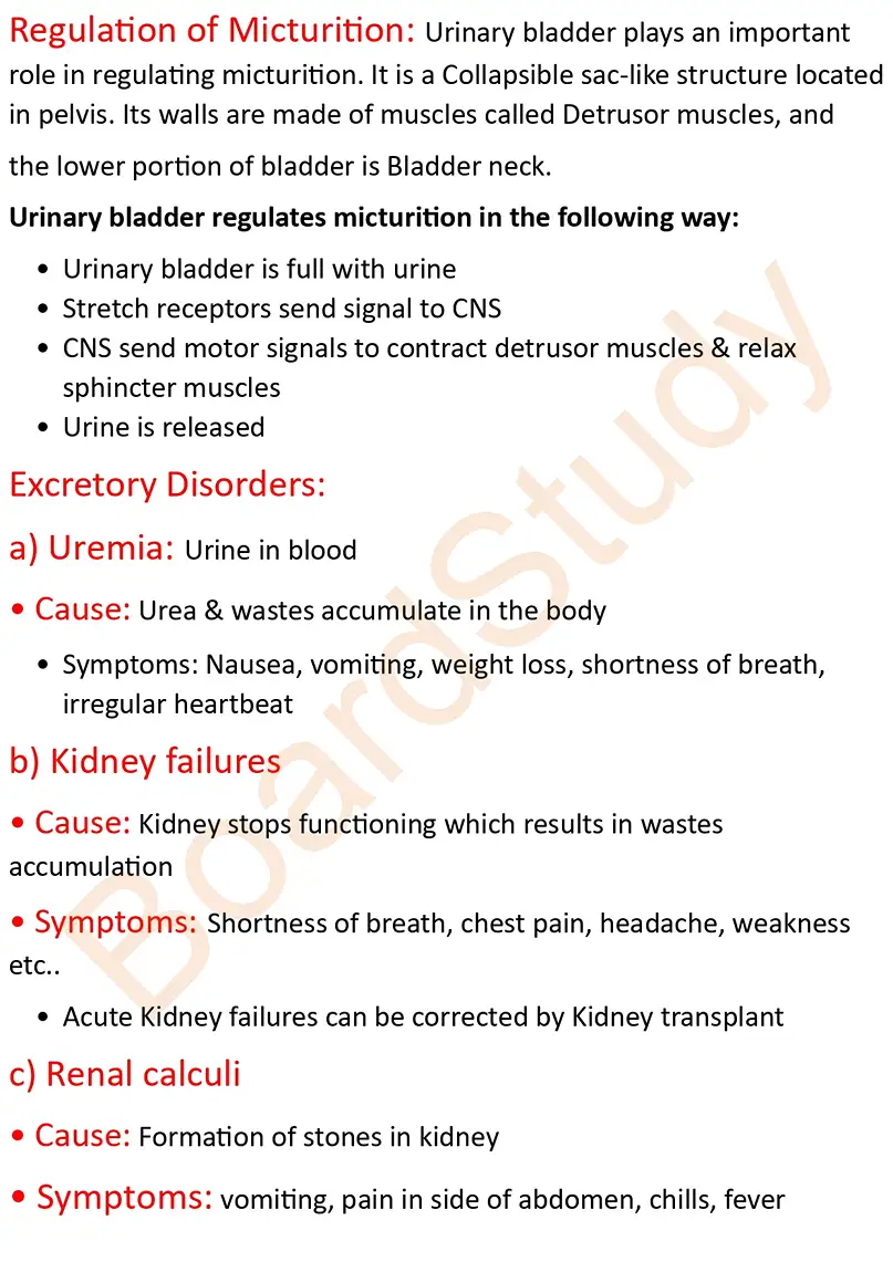 Excretory product and their elimination notes_page-0007