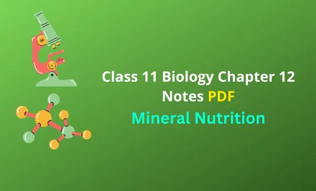 Mineral Nutrition Notes