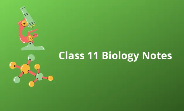 NCERT Class 11 Biology Notes