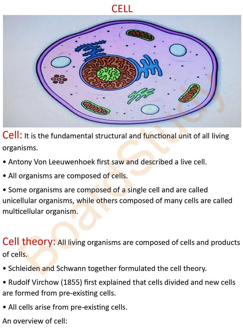 cell the unit of life notes_page-0001