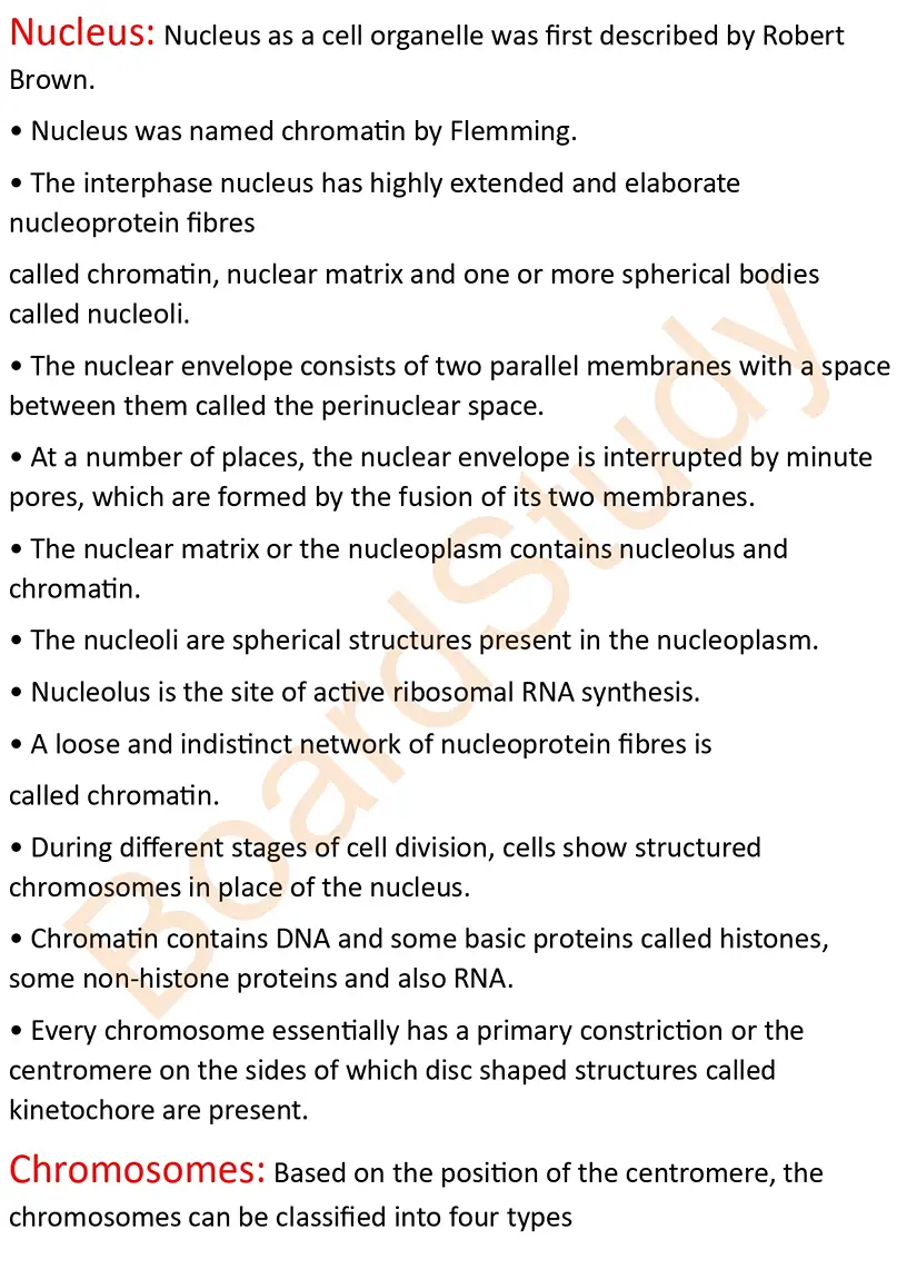 cell the unit of life notes_page-0011