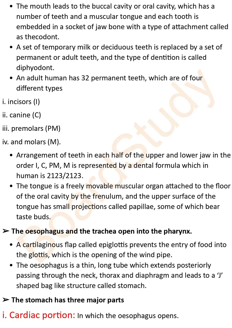 digestion and absorption notes_page-0002