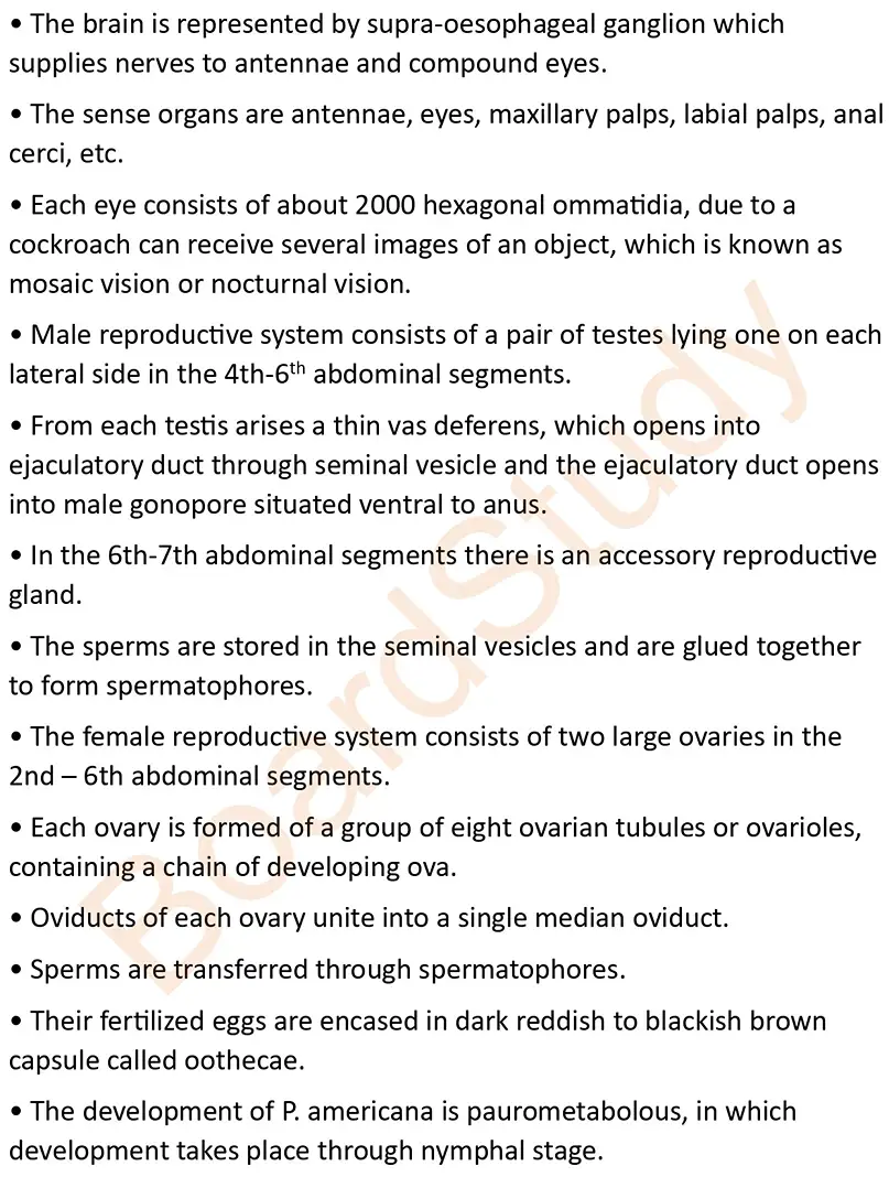 structural organisation notes_page-0015