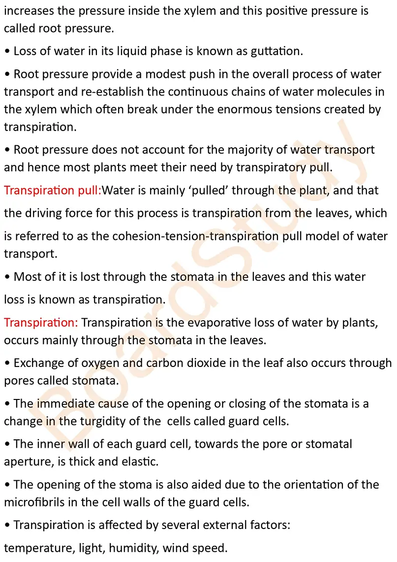 transportion in plants notes_page-0009