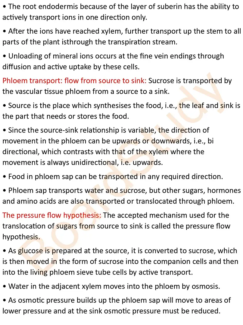 transportion in plants notes_page-0012