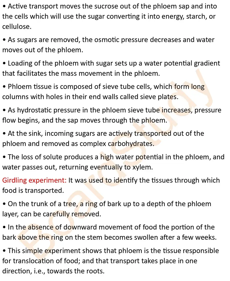 transportion in plants notes_page-0013