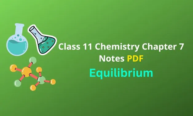 Class 11 Chemistry Equilibrium Notes PDF