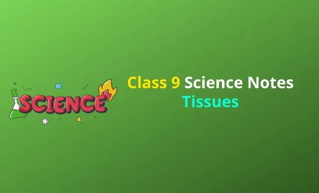 Class 9 Science Tissues Notes PDF