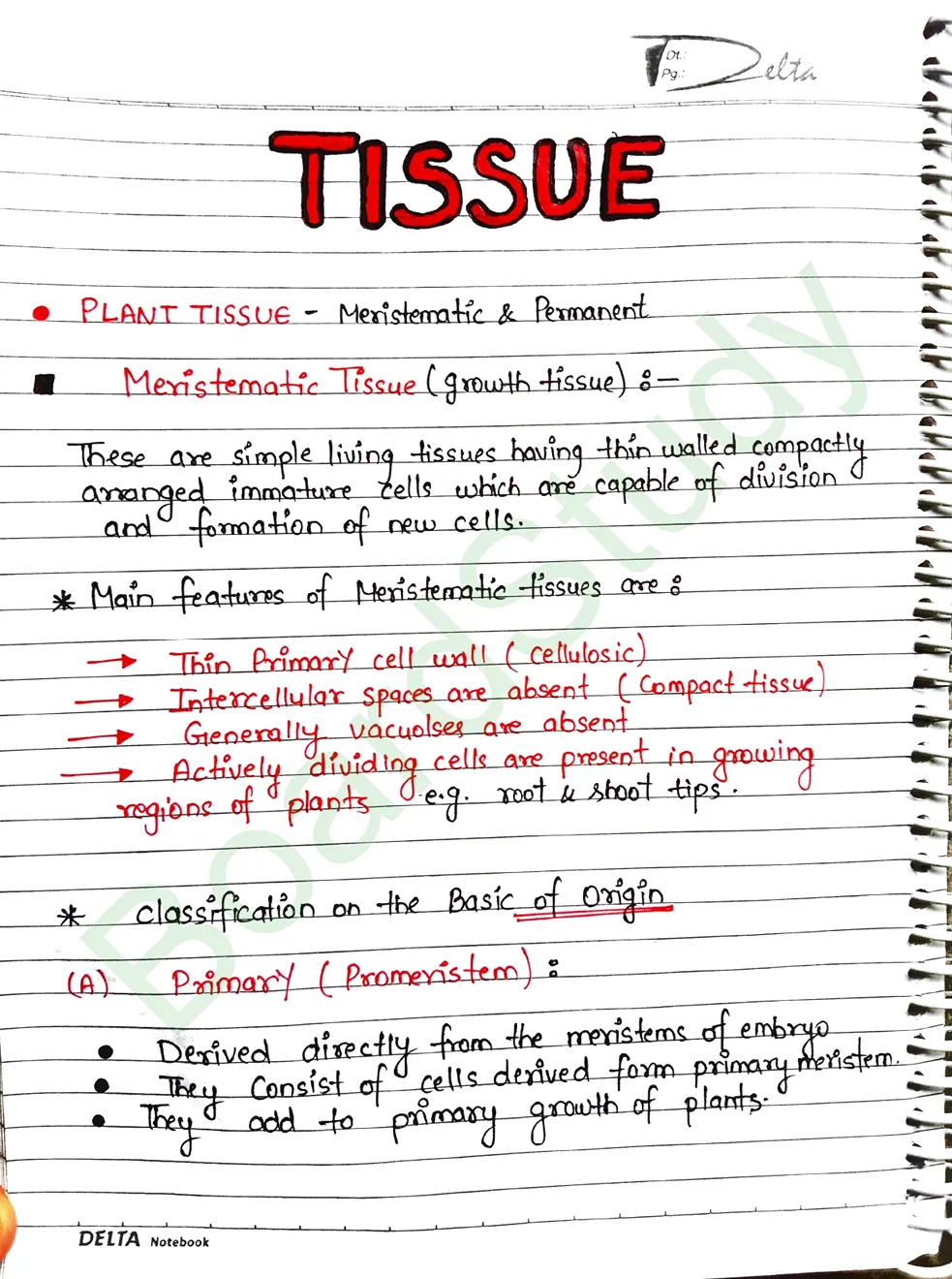 class 9 tissues handwritten notes-0001