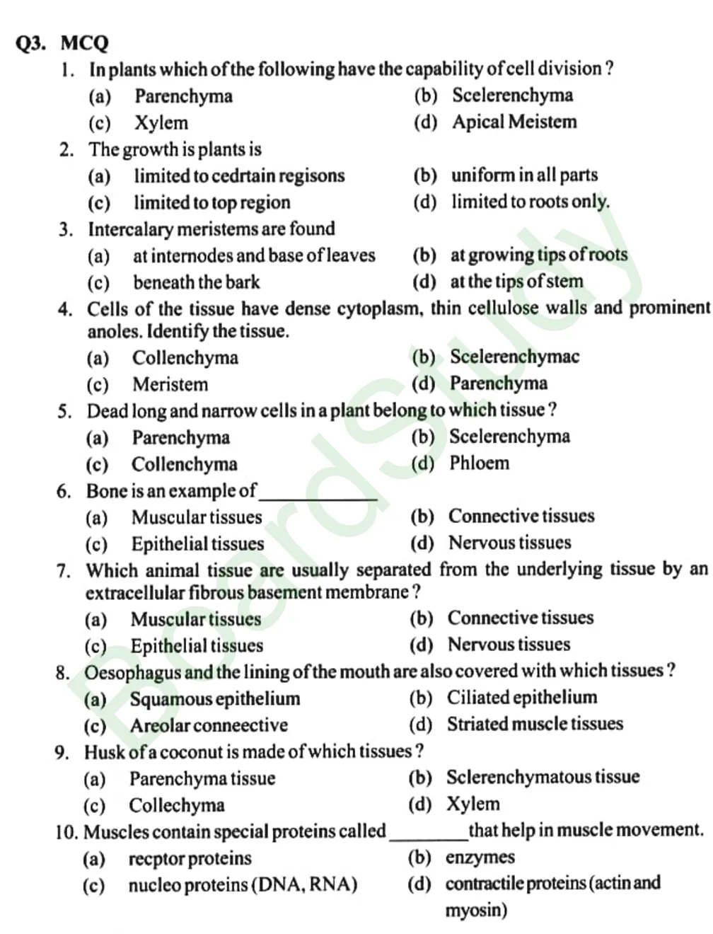 class 9 tissues handwritten notes-0025